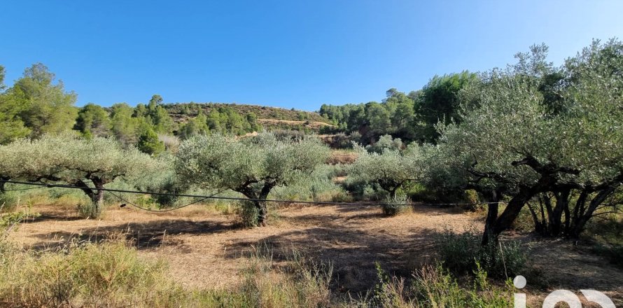 Земельный участок в Тивисса, Таррагона, Испания 6327м2 №185767