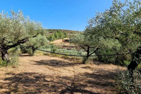Продажа земельного участка в Тивисса, Таррагона, Испания 6327м2 №185767 - фото 21