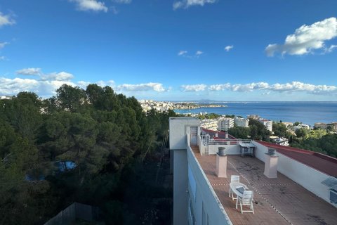 Appartamento in affitto a Cas Catala, Mallorca, Spagna 3 camere da letto, 113 mq. N° 138711 - foto 30