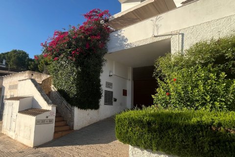 Apartament Cas Catala, Mallorca, Hiszpania 3 sypialnie, 113 mkw. nr 138711 – zdjęcie 3