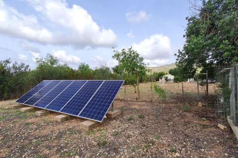 Finca in vendita Llucmajor, Mallorca, Spagna 3 camere da letto, 80 mq. N° 138708 - foto 13
