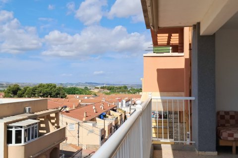Penthouse w Torrevieja, Alicante, Hiszpania 3 sypialnie, 119 mkw. nr 182887 – zdjęcie 17