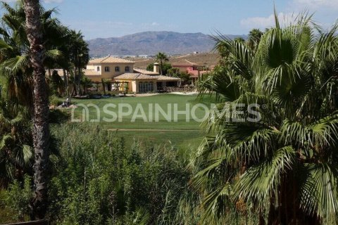 Villa for sale Cuevas del Almanzora, Almeria, Spain 4 bedrooms, 171 sq.m. No. 107593 - photo 4