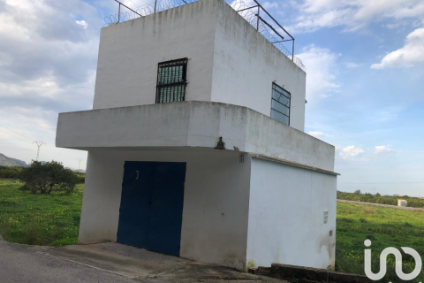 Продажа земельного участка в Олива, Валенсия, Испания 10702м2 №186049 - фото 12