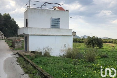 Продажа земельного участка в Олива, Валенсия, Испания 10702м2 №186049 - фото 11