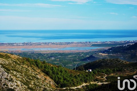Продажа земельного участка в Олива, Валенсия, Испания 10702м2 №186049 - фото 28