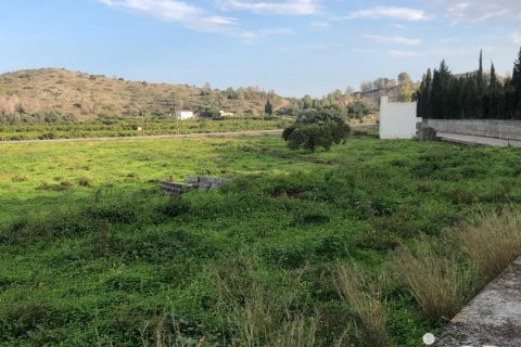 Land plot in Oliva, Valencia, Spain 10702 sq.m. No. 186049