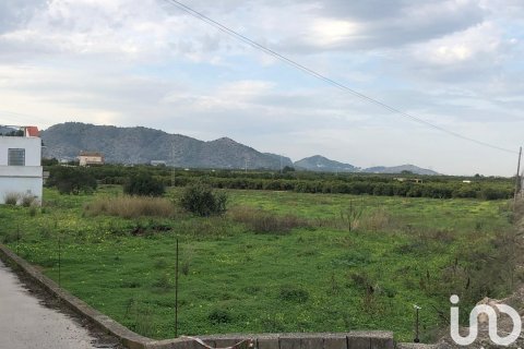 Продажа земельного участка в Олива, Валенсия, Испания 10702м2 №186049 - фото 4