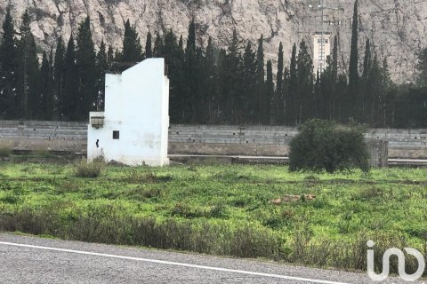 Продажа земельного участка в Олива, Валенсия, Испания 10702м2 №186049 - фото 6
