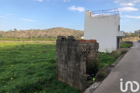 Продажа земельного участка в Олива, Валенсия, Испания 10702м2 №186049 - фото 14
