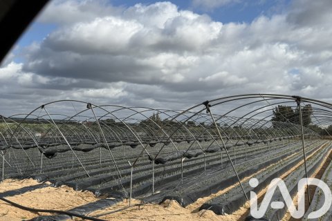 Proprietà commerciale in vendita a Lepe, Huelva, Spagna N° 152852 - foto 10