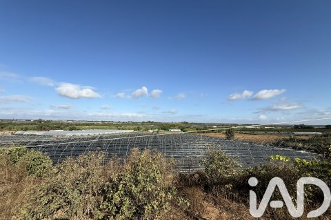 Proprietà commerciale in vendita a Lepe, Huelva, Spagna N° 152852 - foto 12