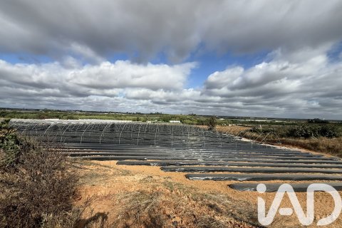 Proprietà commerciale in vendita a Lepe, Huelva, Spagna N° 152852 - foto 7