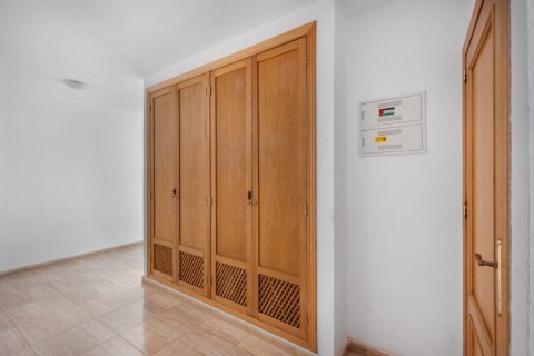 Apartment à vendre à Torrevieja, Alicante, Espagne, 4 chambres,  No. 147643 - photo 27