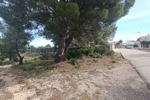 Parcela en venta en L'Ametlla de Mar, Tarragona, España 800 m2 No. 185486 - foto 2
