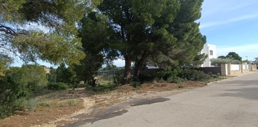 Tontti L'Ametlla de Mar, Tarragona, Espanja 800 m2 No. 185484