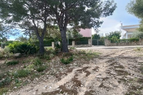 Parcela en venta en L'Ametlla de Mar, Tarragona, España 800 m2 No. 185485 - foto 2
