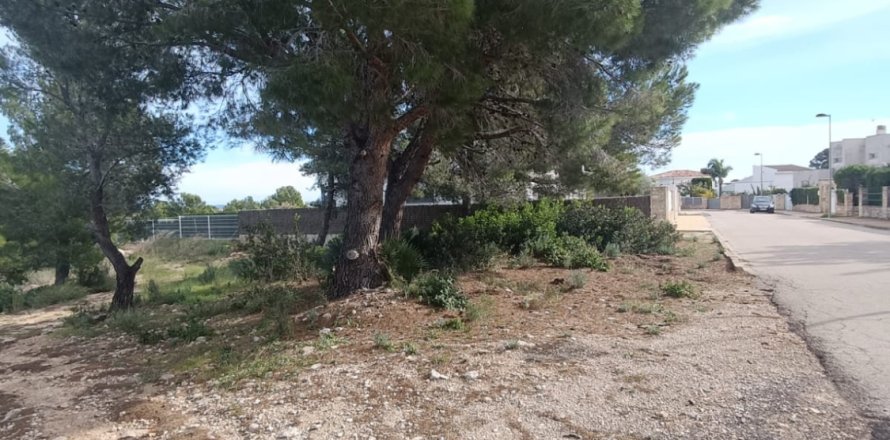 Parcela en L'Ametlla de Mar, Tarragona, España 800 m2 No. 185485