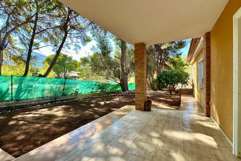 Apartment for sale in Denia, Alicante, Spain 3 bedrooms, 200 sq.m. No. 165396 - photo 4