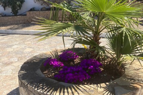 Willa w Albir, Alicante, Hiszpania 4 sypialnie, 440 mkw. nr 165394 – zdjęcie 13