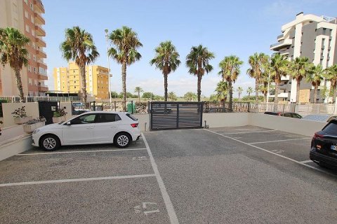 Apartment for sale in Guardamar del Segura, Alicante, Spain 3 bedrooms, 72 sq.m. No. 195569 - photo 24