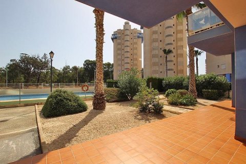 Apartment for sale in Guardamar del Segura, Alicante, Spain 3 bedrooms, 72 sq.m. No. 195569 - photo 28