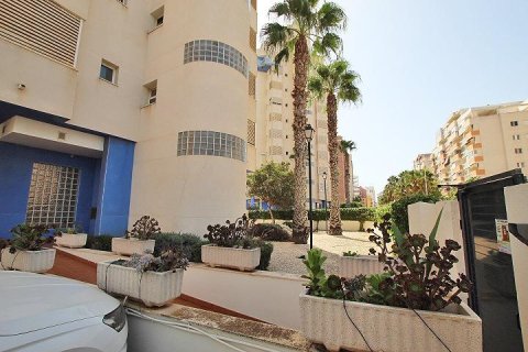Apartment for sale in Guardamar del Segura, Alicante, Spain 3 bedrooms, 72 sq.m. No. 195569 - photo 26