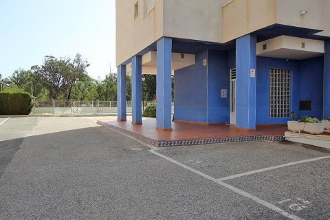 Apartment for sale in Guardamar del Segura, Alicante, Spain 3 bedrooms, 72 sq.m. No. 195569 - photo 27