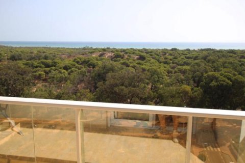 Apartment in Guardamar del Segura, Alicante, Spain 3 bedrooms, 72 sq.m. No. 195569
