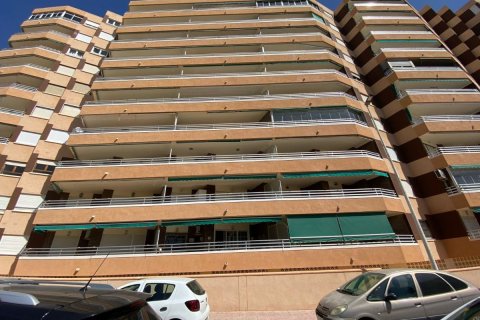 Apartment for sale in La Mata, Alicante, Spain 3 bedrooms, 90 sq.m. No. 148919 - photo 25