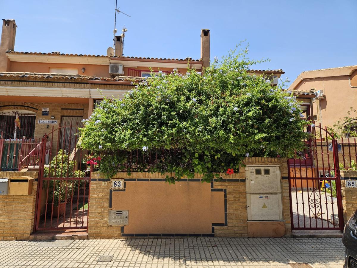 Radhus i Torre de la Horadada, Alicante, Spanien 4 sovrum, 145 kvm. Nr. 148916