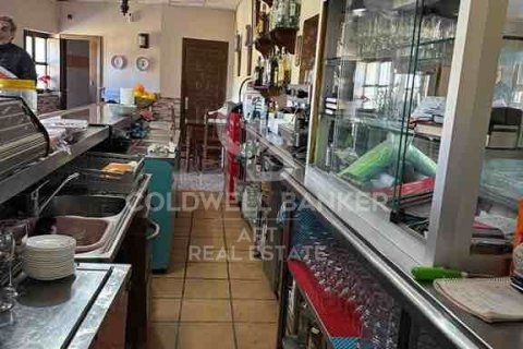 Hotel w Gaucin, Malaga, Hiszpania 10 sypialni, 308 mkw. nr 159729 – zdjęcie 4