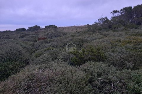 Terreno a Ciutadella De Menorca, Menorca, Spagna N° 183193