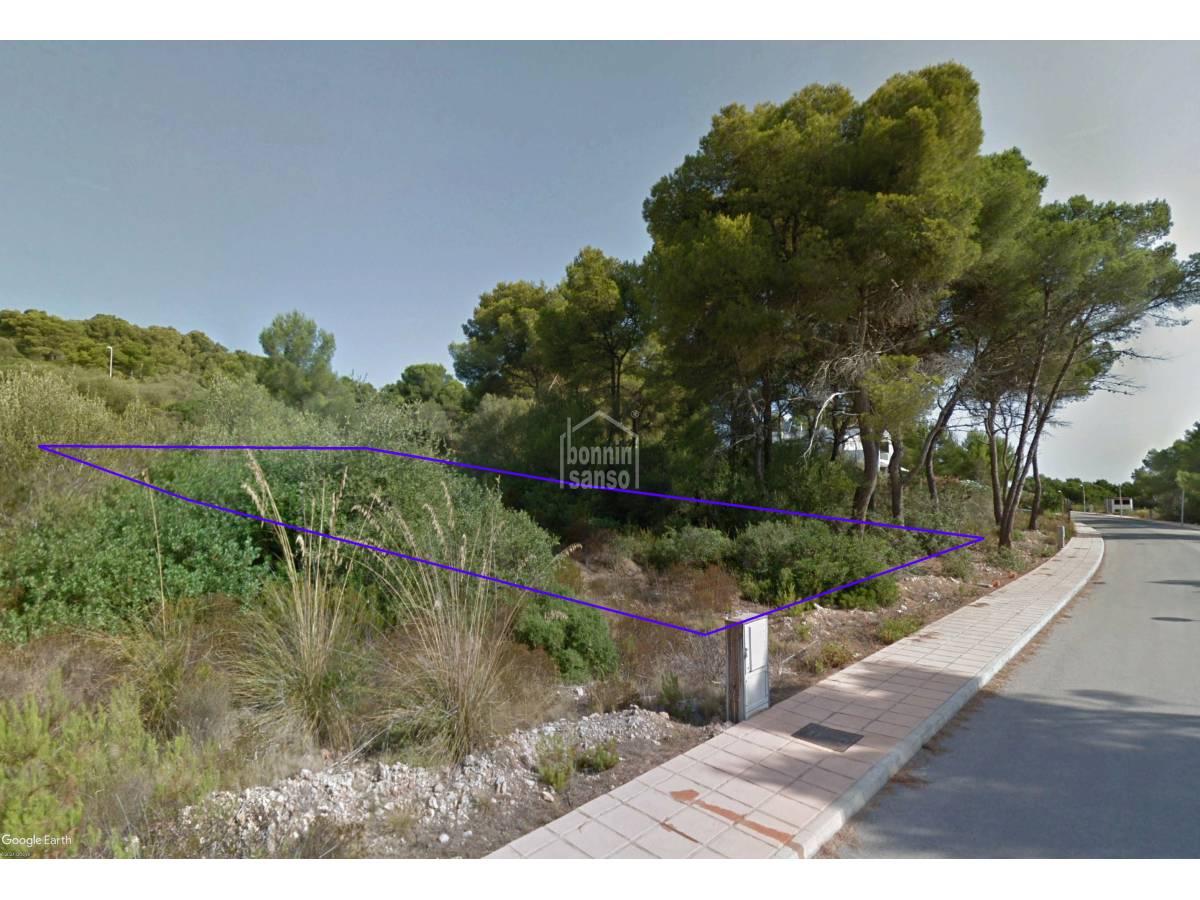 Land in Es Mercadal, Menorca, Spanien Nr. 183198