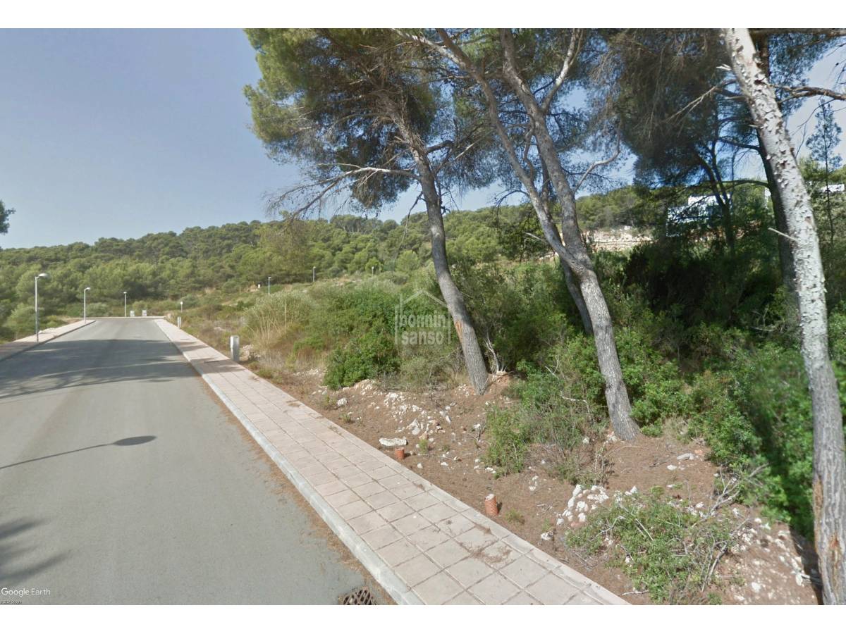 Land in Es Mercadal, Menorca, Spanien Nr. 183198