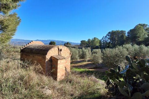 Māja pārdošanā Mora d'Ebre, Tarragona, Spānijā 3 istabas, 190 m2 Nr. 152750 - attēls 26