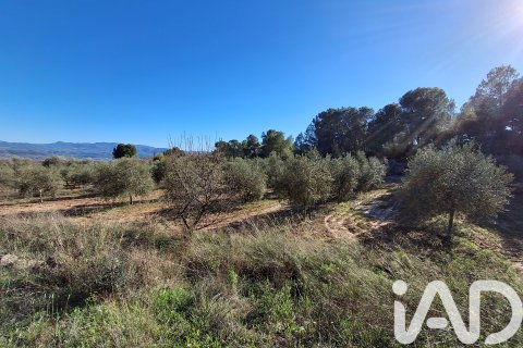 Māja pārdošanā Mora d'Ebre, Tarragona, Spānijā 3 istabas, 190 m2 Nr. 152750 - attēls 25