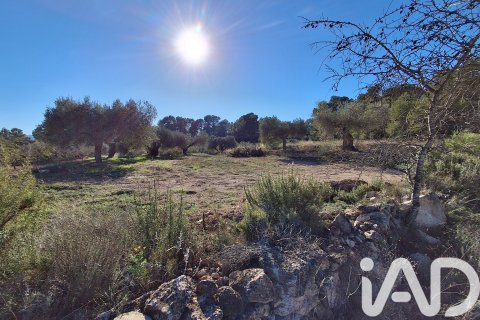 Māja pārdošanā Mora d'Ebre, Tarragona, Spānijā 3 istabas, 190 m2 Nr. 152750 - attēls 24