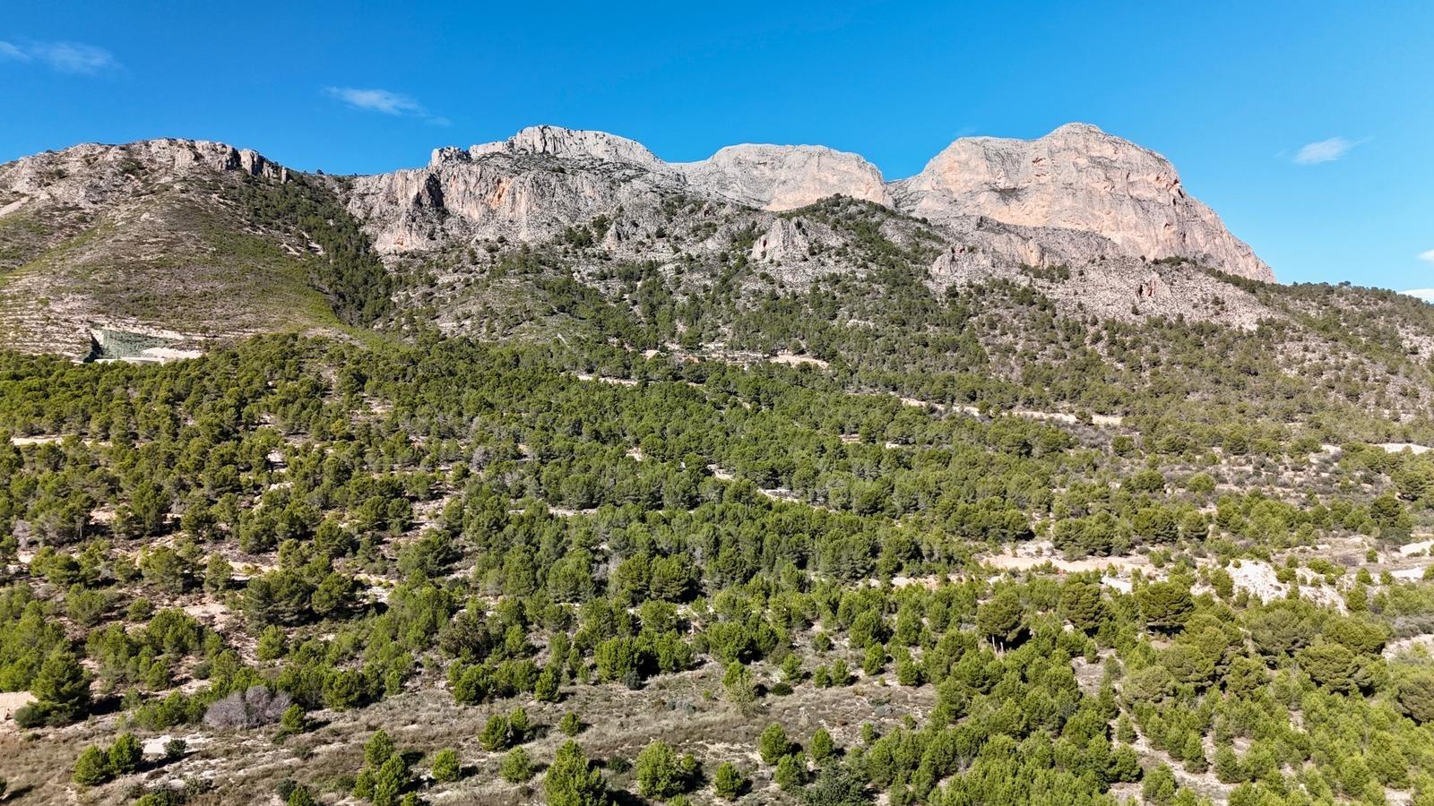 Huoneisto La Alberca, Alicante, Espanja 3 makuuhuonetta, 150 m2 No. 165749
