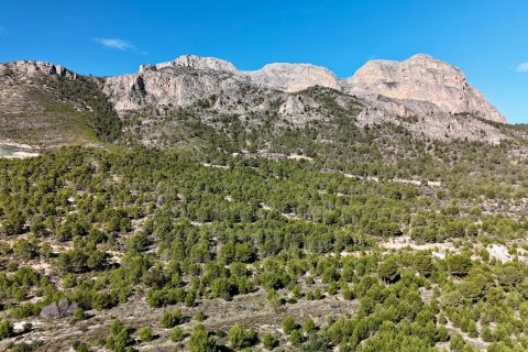 Apartment for sale in La Alberca, Alicante, Spain 3 bedrooms, 150 sq.m. No. 165749 - photo 8