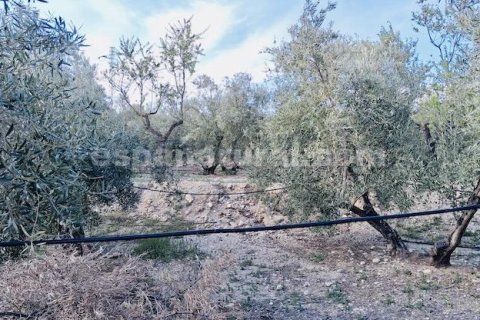 House zum Verkauf in Armuna De Almanzora, Almeria, Spanien 2 Schlafzimmer, 110 m2 Nr. 161669 - Foto 15