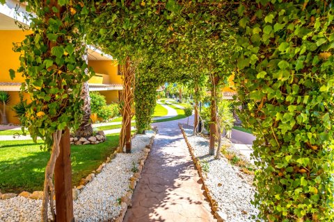 Huoneisto myytävänä Punta Prima, Alicante, Espanja, 2 makuuhuonetta, 128 m2 No. 166200 - kuva 29