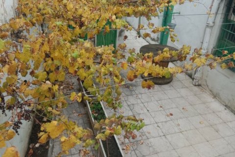 Talo myytävänä Santa Maria del Paramo, Leon, Espanja, 9 makuuhuonetta, 632 m2 No. 154135 - kuva 18