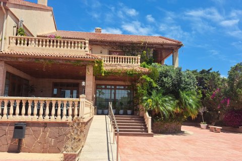 Commercial property for sale La Zenia, Alicante, Spain 871 sq.m. No. 109060 - photo 4