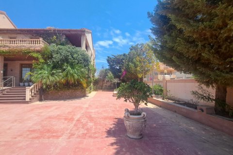 Commercial property for sale La Zenia, Alicante, Spain 871 sq.m. No. 109060 - photo 18
