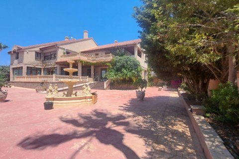 Commercial property for sale La Zenia, Alicante, Spain 871 sq.m. No. 109060 - photo 13