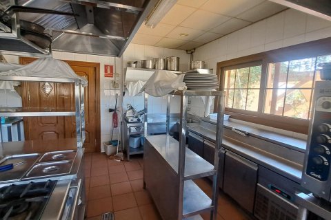 Commercial property for sale La Zenia, Alicante, Spain 871 sq.m. No. 109060 - photo 28