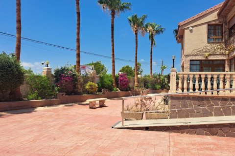 Commercial property for sale La Zenia, Alicante, Spain 871 sq.m. No. 109060 - photo 7