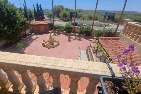 Commercial property for sale La Zenia, Alicante, Spain 871 sq.m. No. 109060 - photo 15