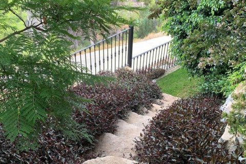 Appartamento in vendita a Galera de las Palmeras, Alicante, Spagna 3 camere da letto, 412 mq. N° 165304 - foto 6